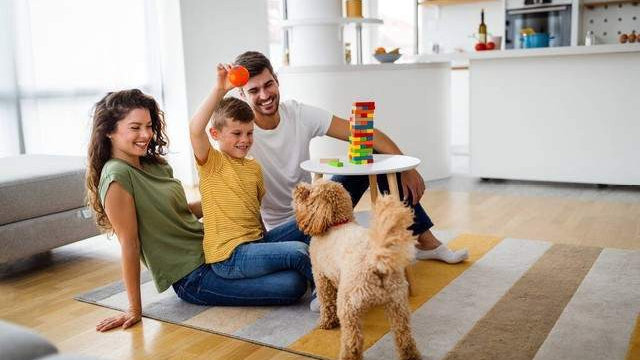 Seguro de hogar en Argentina